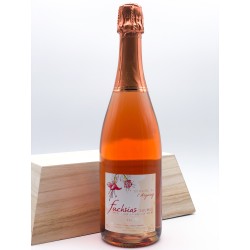 Fuschias Domaine de L'Arguray